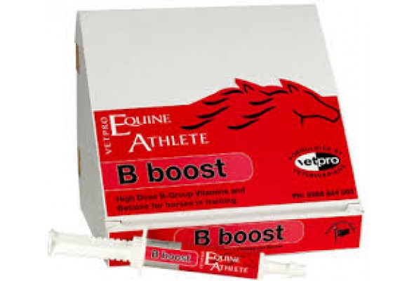 B vitamin paste for horses Vetpro