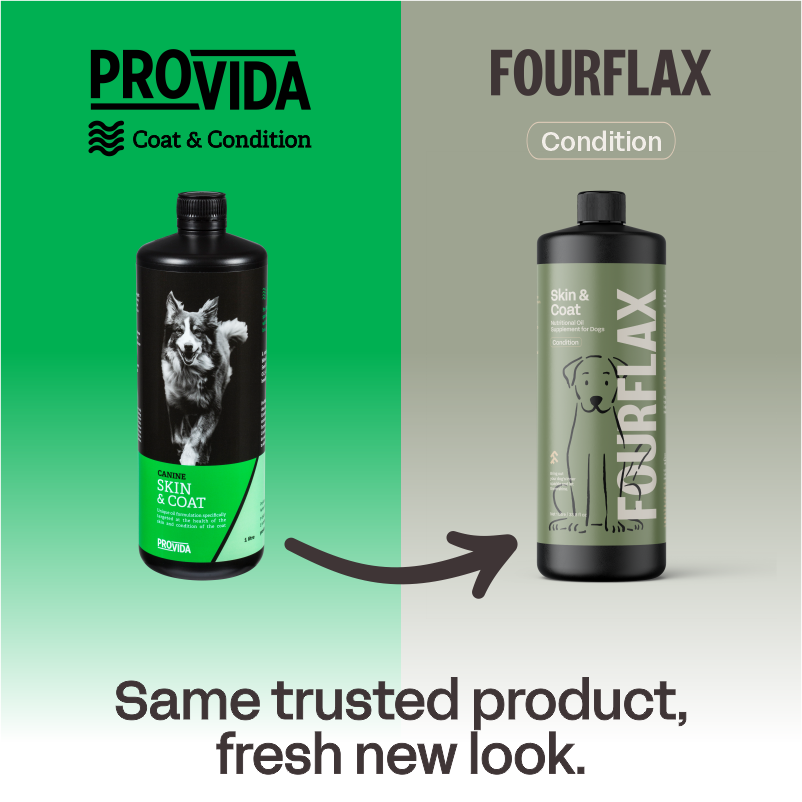 Fourflax skin and coat oil for dogs