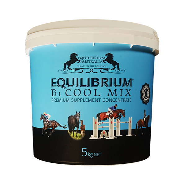 Equilibrium B1 Blue Cool Mix