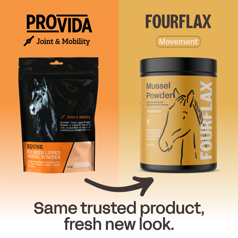 Green Lipped Mussel Powder for Horses