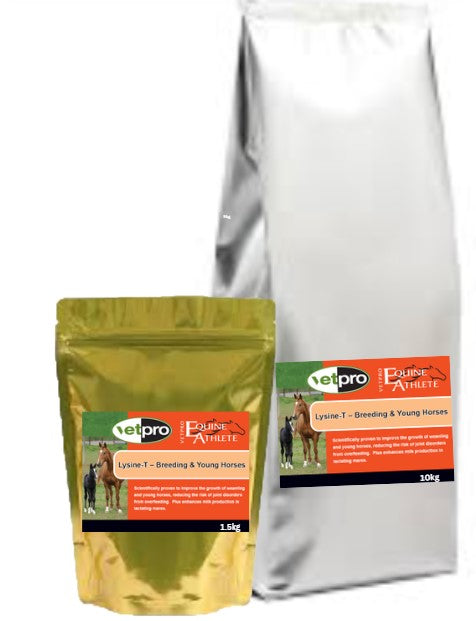 Lysine T for young and breeding horses to promote growth