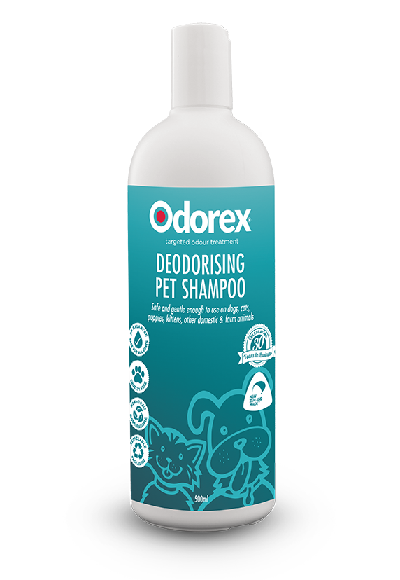 Odorex dog shampoo