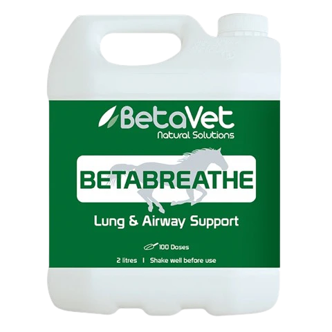 Natural airway and respiratory supplement for horses