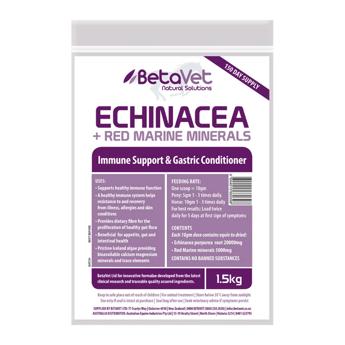 Echinacea immune support gut health