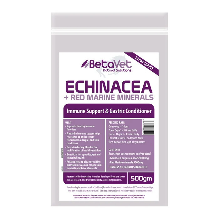 Echinacea immune system and healthy gut 
