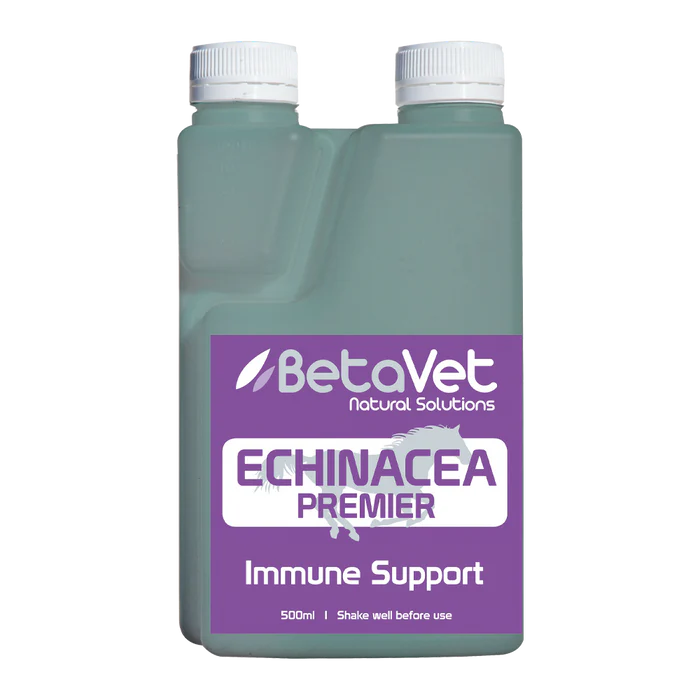Herbal immunity echinacea