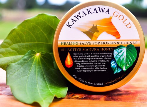 Kawakawa Gold Salve with Active 15+ Manuka Honey for Horses & Hounds